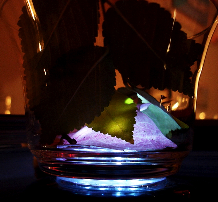 Blaetterrauschen vsjub (14)